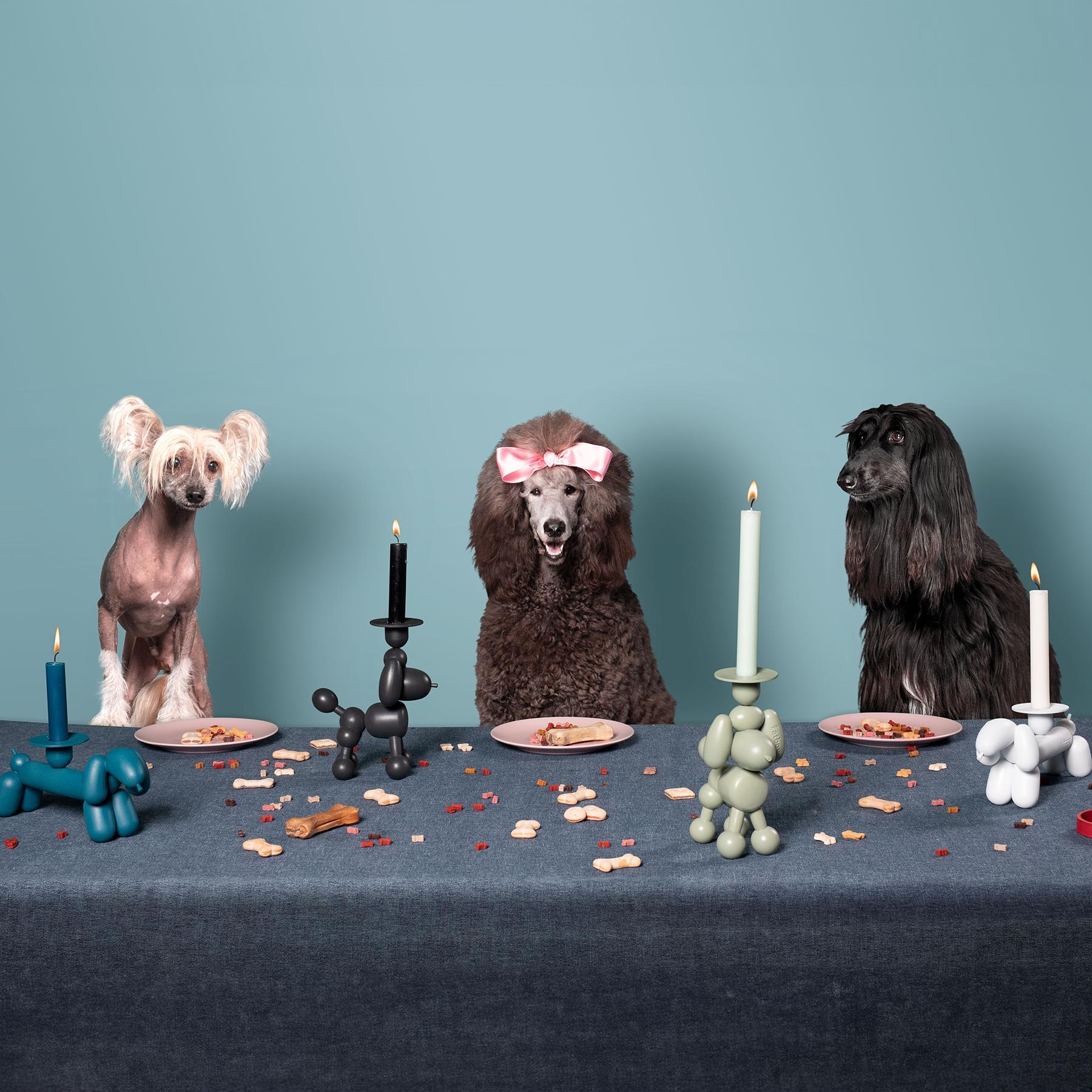 Fatboy Can-Dog Candle Holder - Image 3
