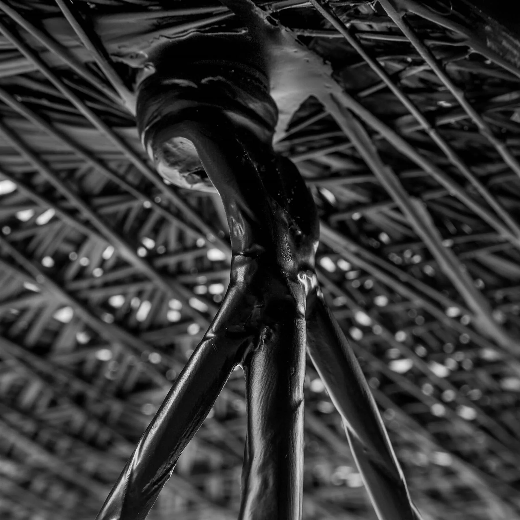 Moooi Carbon Bar Stool - Image 5