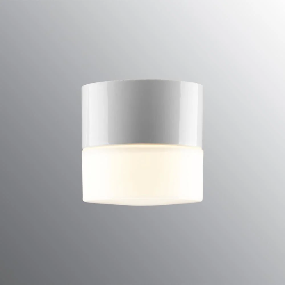Opus 100 Wall or Ceiling Bathroom Light