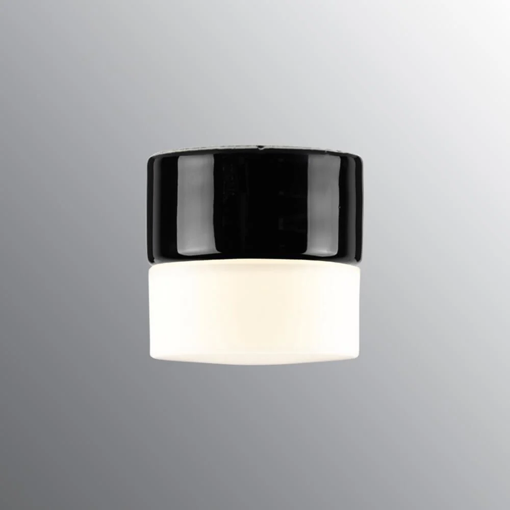 Opus 100 Wall or Ceiling Bathroom Light - Image 4