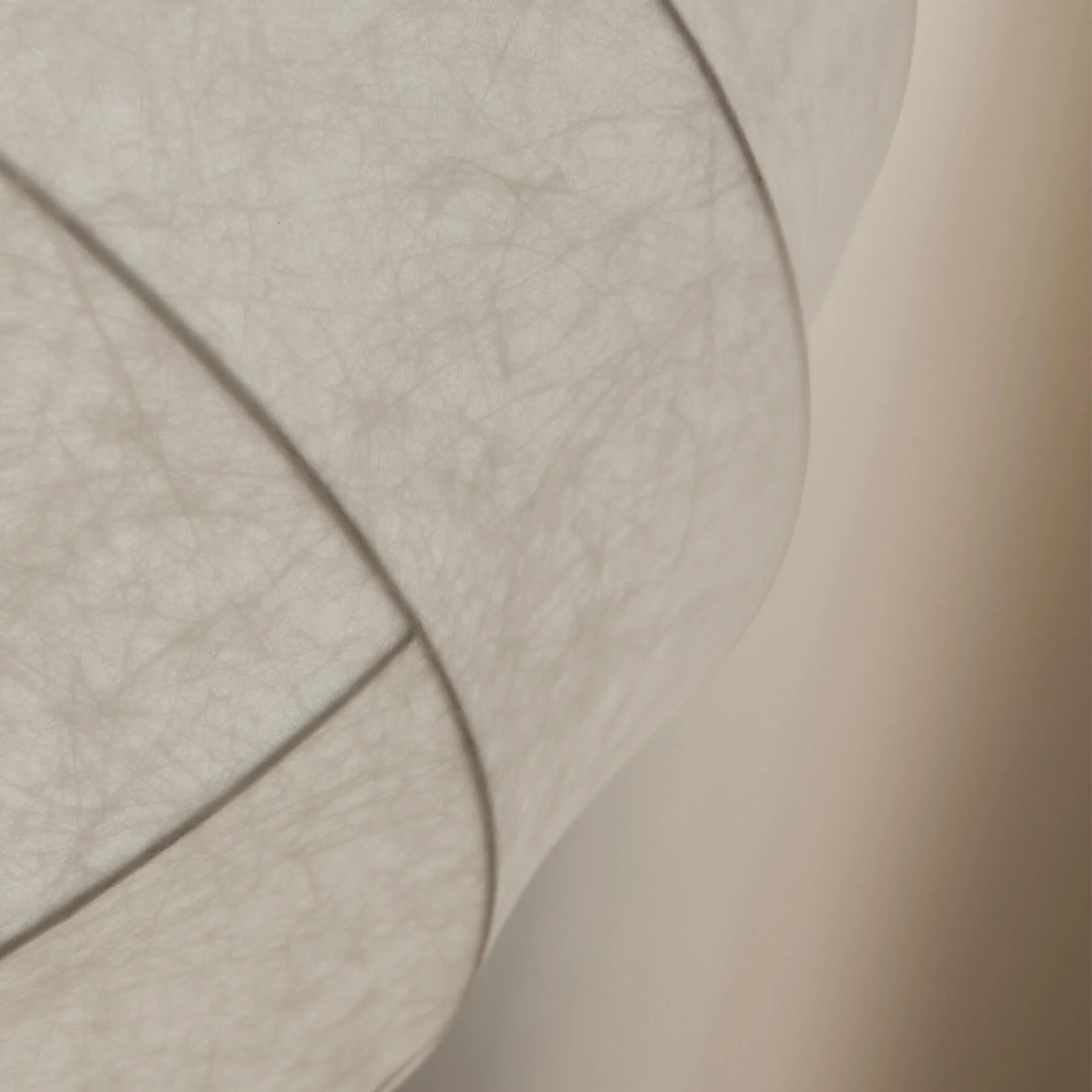 Pholc Cocoon Pendant Light - Image 3