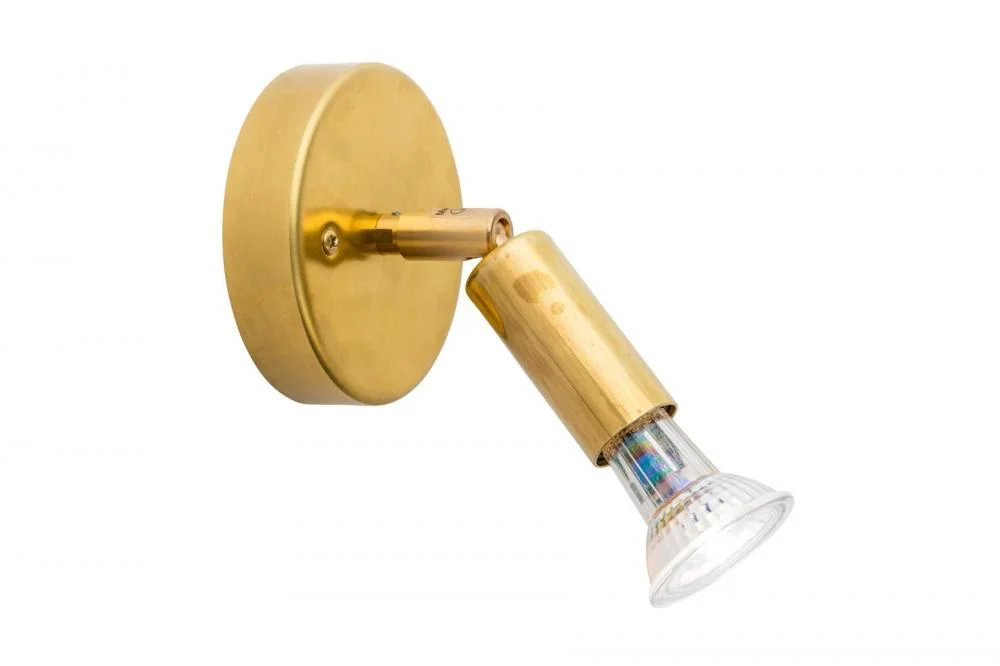 Star 1 Spotlight - Image 5