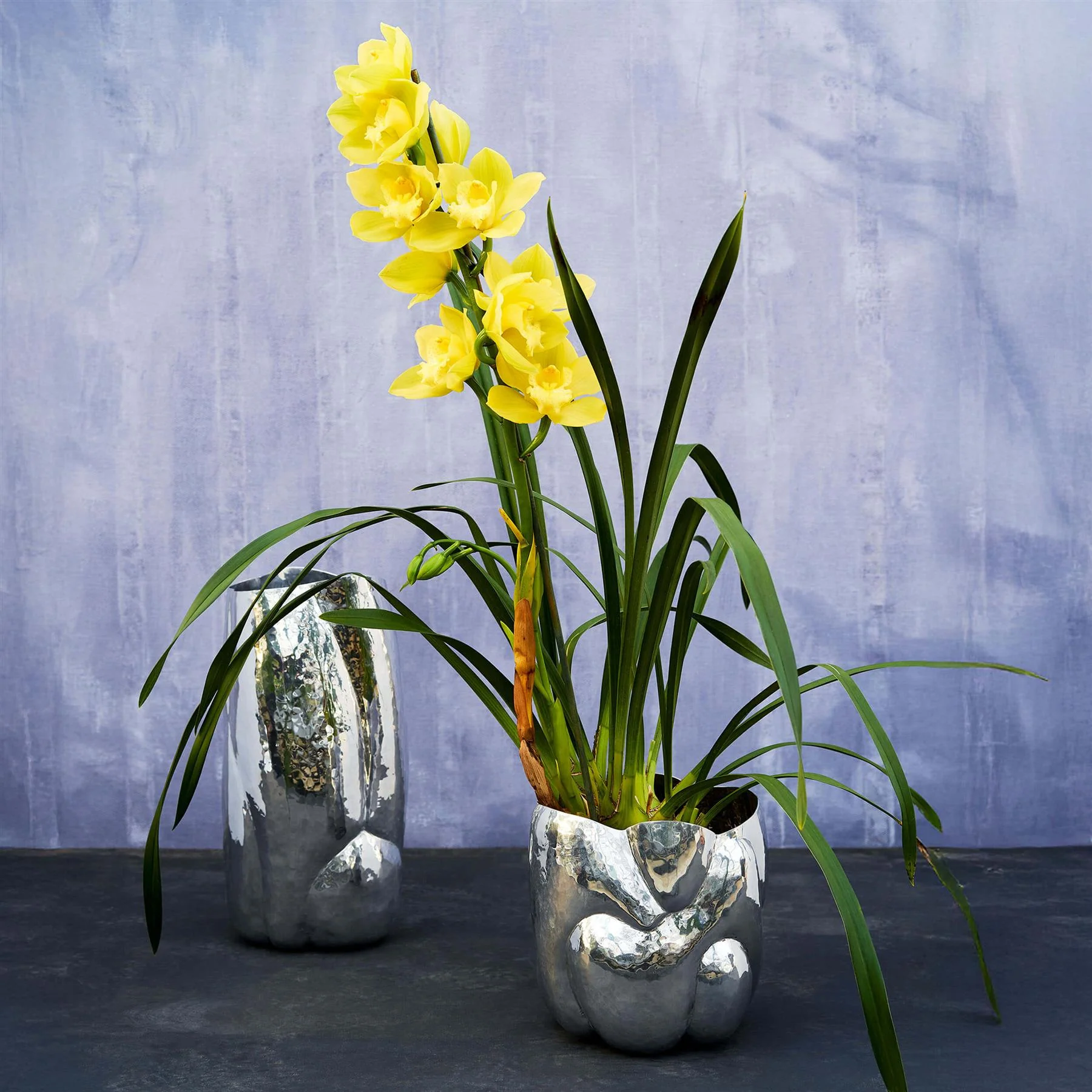 Tom Dixon Cloud Vessel - Image 3