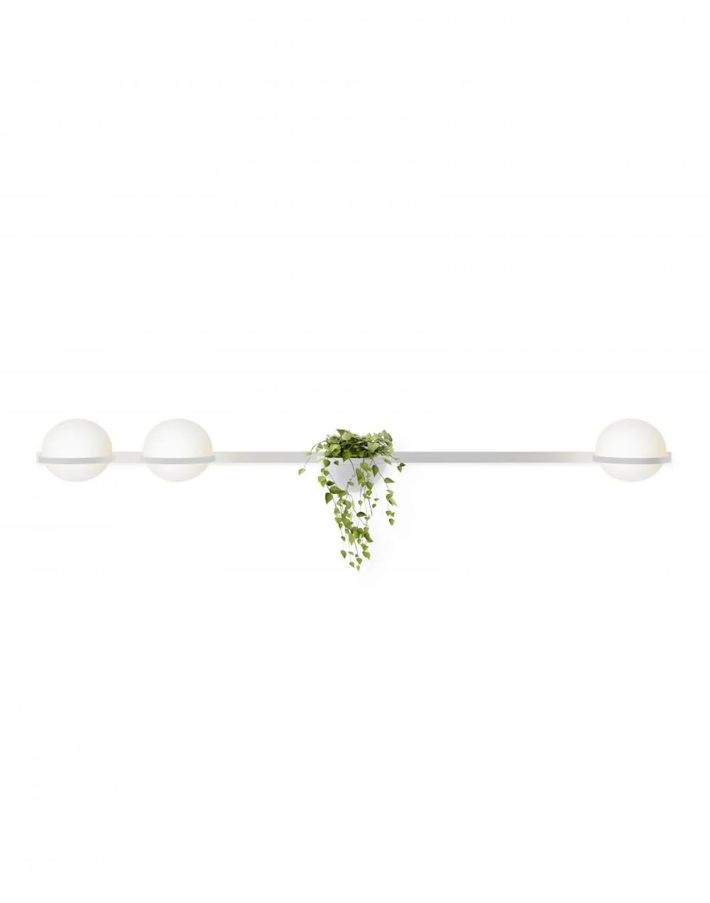 Vibia Palma Wall Light